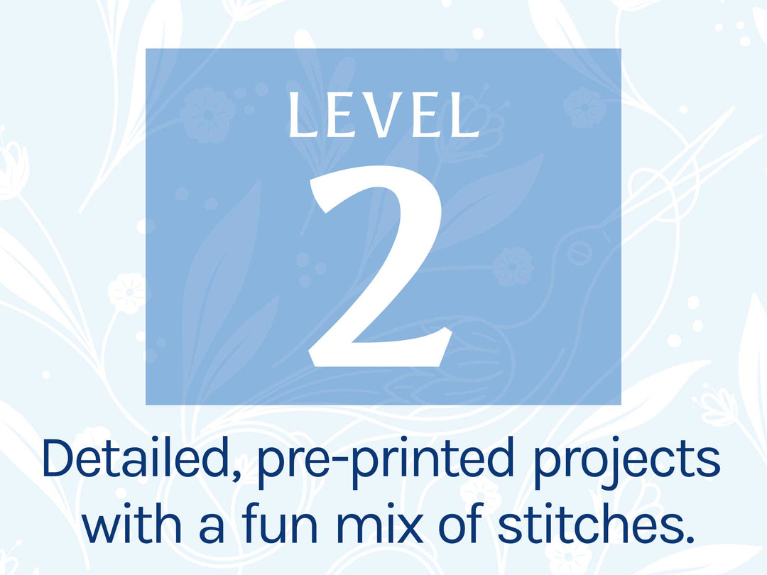 Level 2 Projects