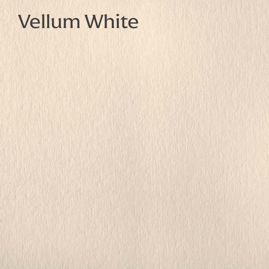 Sheets-White Neutrals Pack