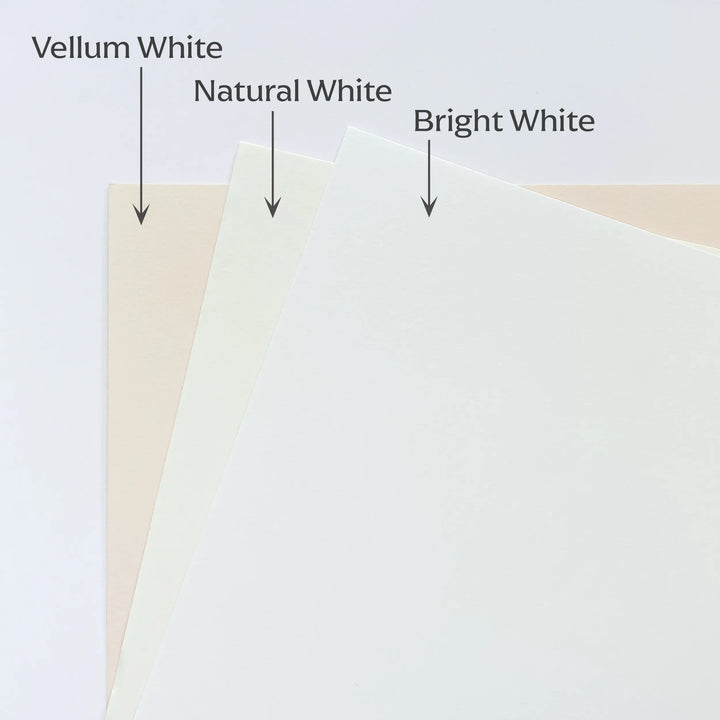 Sheets-White Neutrals Pack